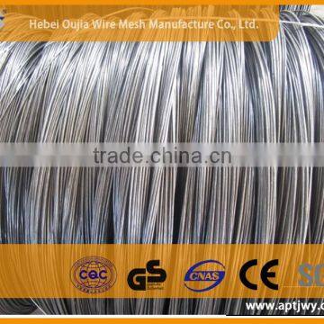 Cold Drawn Wire Raw Material of Wire Nail (china Manufactory)