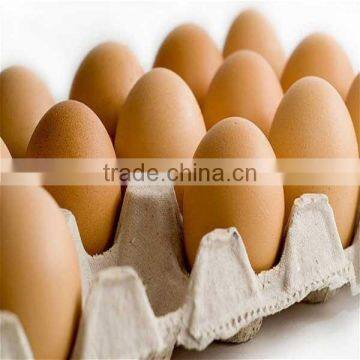 All Kind of Cheap 30 Cavity Paper Egg Tray photo-3