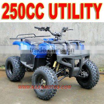 250cc New Force ATV