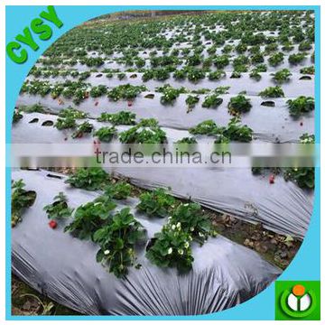 strong polypropylene film rolls ldpe hdpe film roll for agriculture