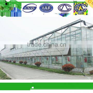 Multi-Span Commercial Glass Greenhouse