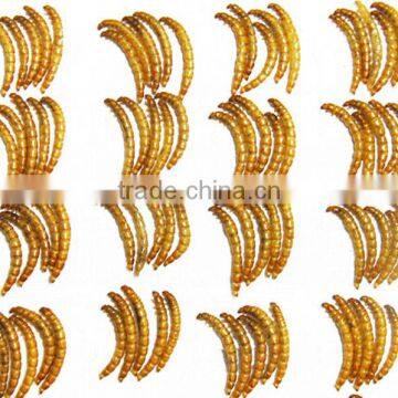 Pet Food Factory Birds Food Meal Worm photo-2