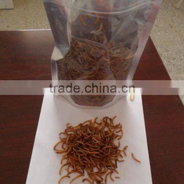 Pet Food Manufacturer and Exporter Dried Mealworms Crickets Grasshoppers photo-3