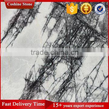 Decoration Heaven Bird White Marble With With Black Veins photo-2