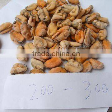 IQF Blue Mussel Meat photo-2