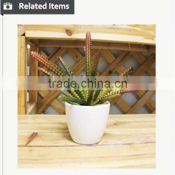 Artificial Preserved Succulents Artificial Potted Mini Succulent Plants Hot Sale Artificial Potted Plants photo-5