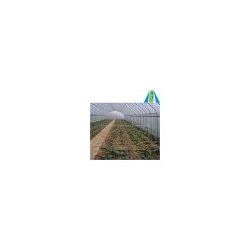 Galvanized Steel Frame Greenhouse for Sale