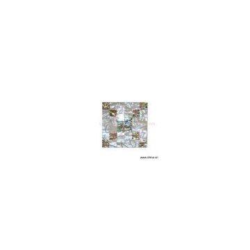 Sell Shell Mosaic/Tile