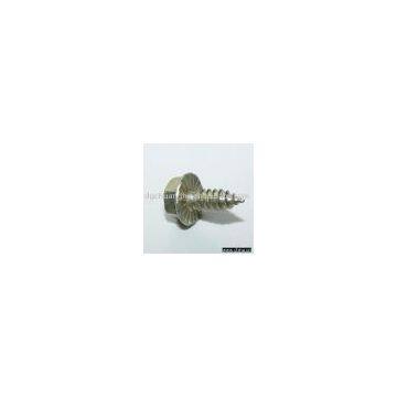 Hex Flange Screw