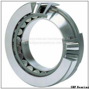 SKF Bearing