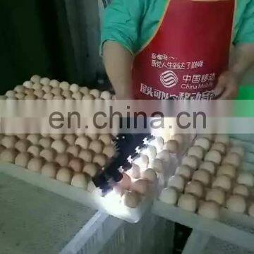 Commercial Egg Incubator Tester / Hatchery Accessories Egg Tester Wholesale Price On Sale