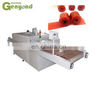 Automatic Fruit Leather Cutting Machine With Factory Price photo-5