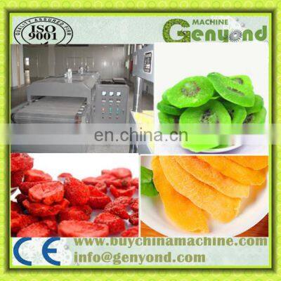 Raisin Processing Equipment/fruit Processing Equipment photo-3