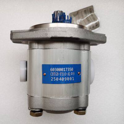 Hydraulic Pump CBTGB-F310-ALΦ9 for Wheel Loader photo-5
