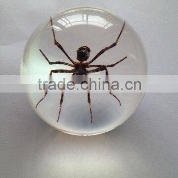 New design clear plastic christmas sphere ball with real ember embedded for promotional gift