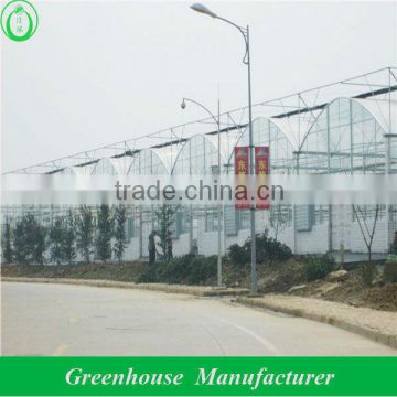 4mm twin wall polycarbonate greenhouse