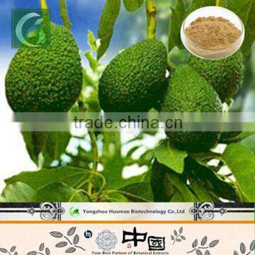 Best selling products with competitive price,top quality natural Avocado Extract