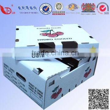 Water-proof Frozen Sea Food Corrugated Carton Box for Sale With Good Printing photo-6