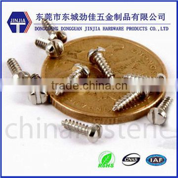 Stainless steel slotted self tapping screw