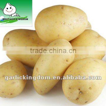 Yellow Fresh Potato(150g-250g) from JBK