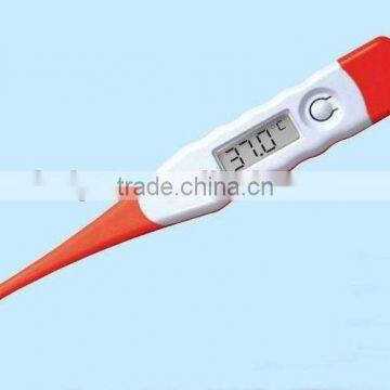 thermometer digital