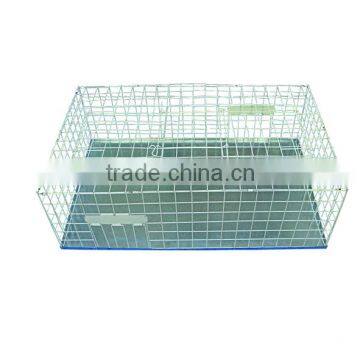 collapsible multi catch middle size bird trap cage