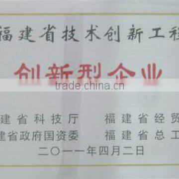 Provincial innovative pilot enterprises