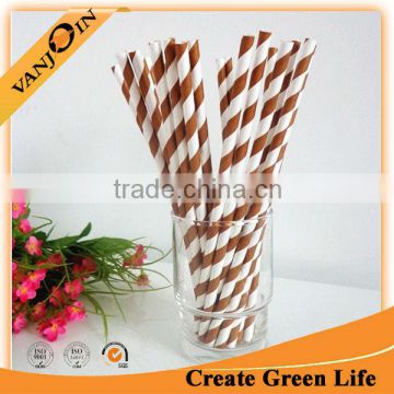 Party Striped Paper Straws