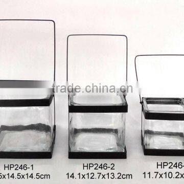 HP246 clear glass flower pot