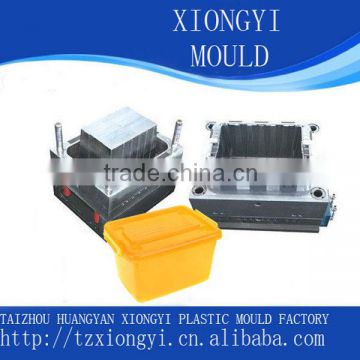 custom EU plastic storage box mold manufacturer