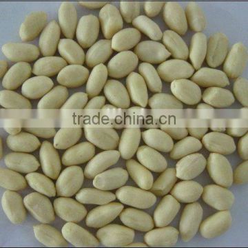 groundnut blanched peanuts from chinese plant