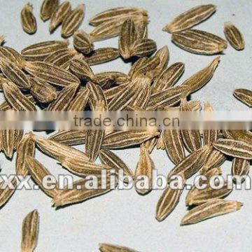 black cumin seeds