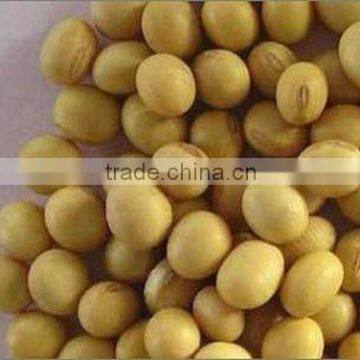 Soybean Isoflavones 20%, 40% HPLC Daidzin Daidzein