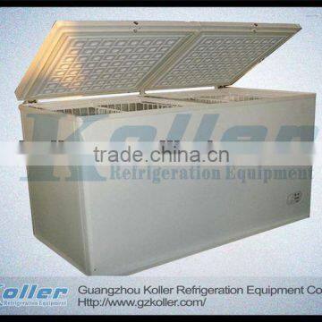BD-550 Chest Freezer in China