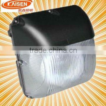 40W induction wall light with circular lamp