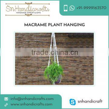 Decorative Macrame Plant Hanging Available for Indoor and Outdoor Use