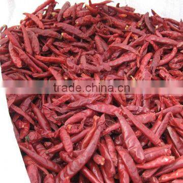 Chaotian Chili