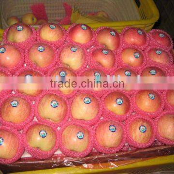 chinese fresh fuji apple