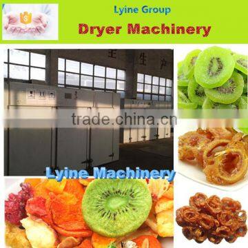 Lyine commerial fruit potato chips dryer machine