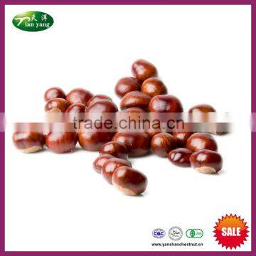 2015 New Crop Organic Yanshan Healthy Chinese Fresh Chestnut with Shell