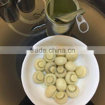 CAN ROUND MUSHROOM WHOLE 400G EOE CAN FOOD