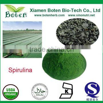 Spirulina Powder