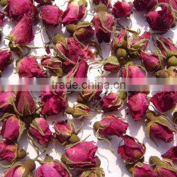 Rose buds