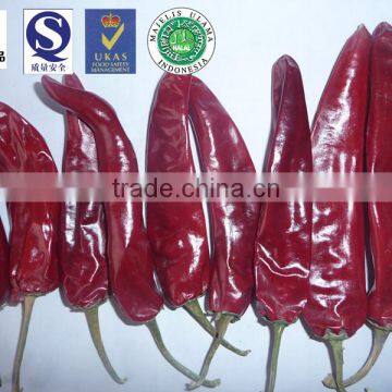 high quality and competitive price jinta chilli big chili dried jinta chili