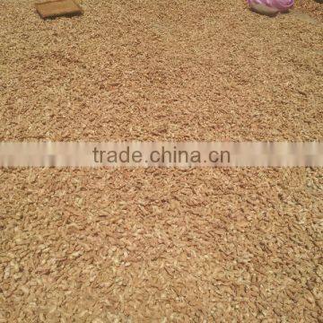 DRIED GINGER