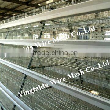 automatic chicke cage layer for poultry equipment in chiken farm