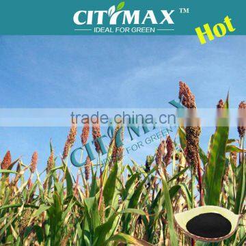 Buy Humic Acid