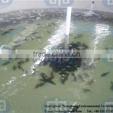 Customize Aquaculture Fish Farming System for Commercial photo-3