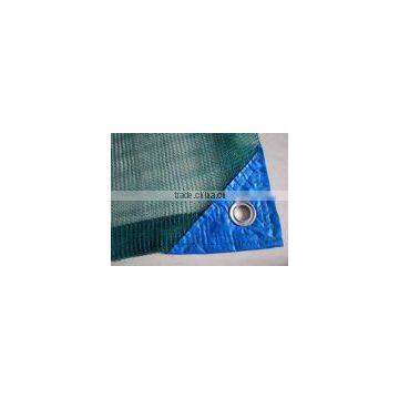 Green Olive Net for Collection photo-5