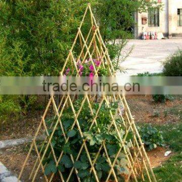 Bamboo Trellis